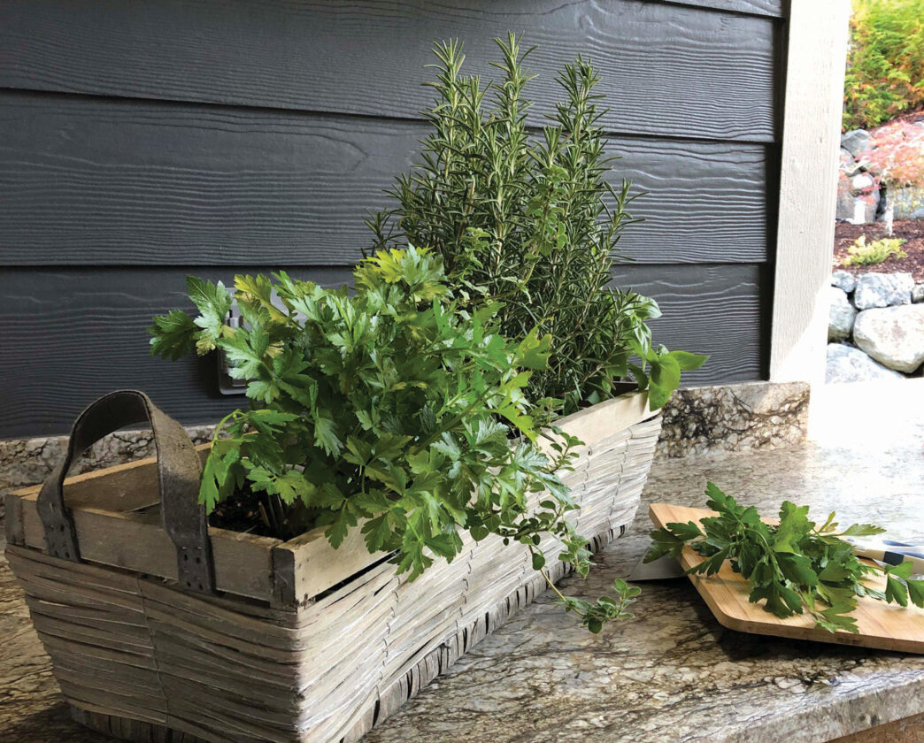 Start a Patio Herb Garden Grit